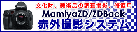 �ֳ����ƥ����ƥ�Τ��Ҳ�