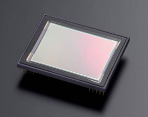 MamiyaZD CCDセンサ